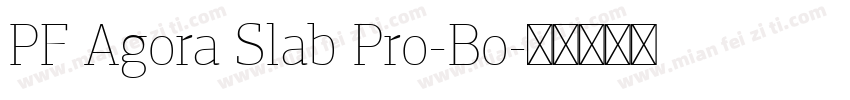 PF Agora Slab Pro-Bo字体转换